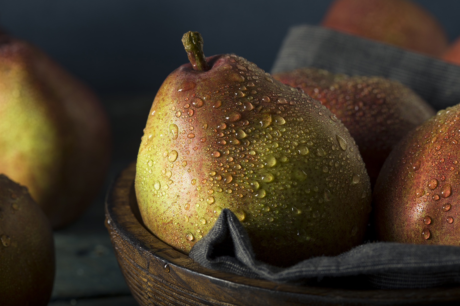 Anjou Pear Versatile Fruit and How to Grow Its Tree