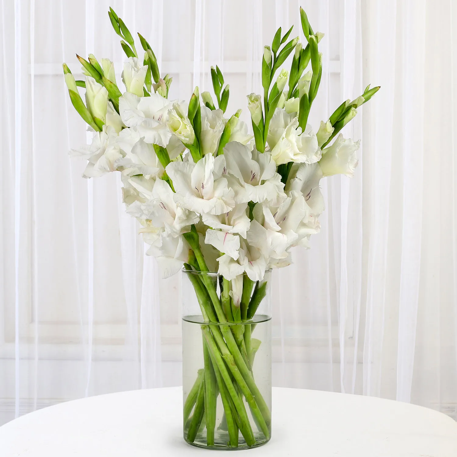 The best container for gladioli is a heavy vase like ceramic or glass, vase height should be one third the total length of the flowers.
